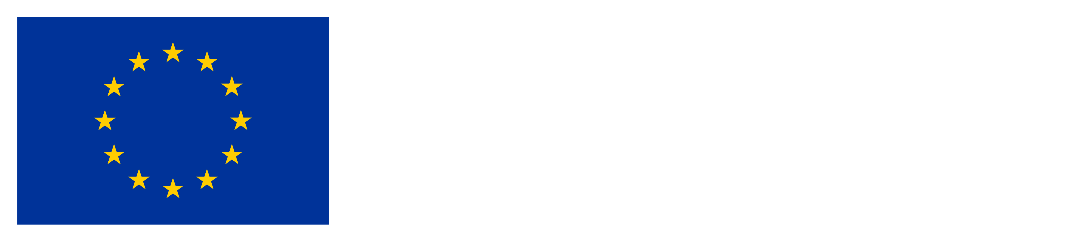 EU Disclaimer ms-auto